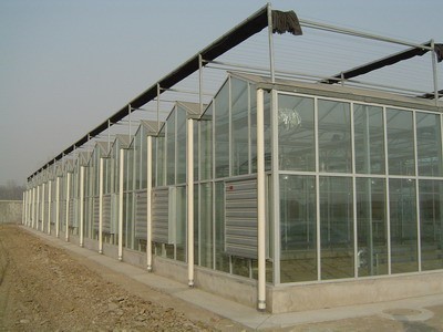 福建玻璃温室工程