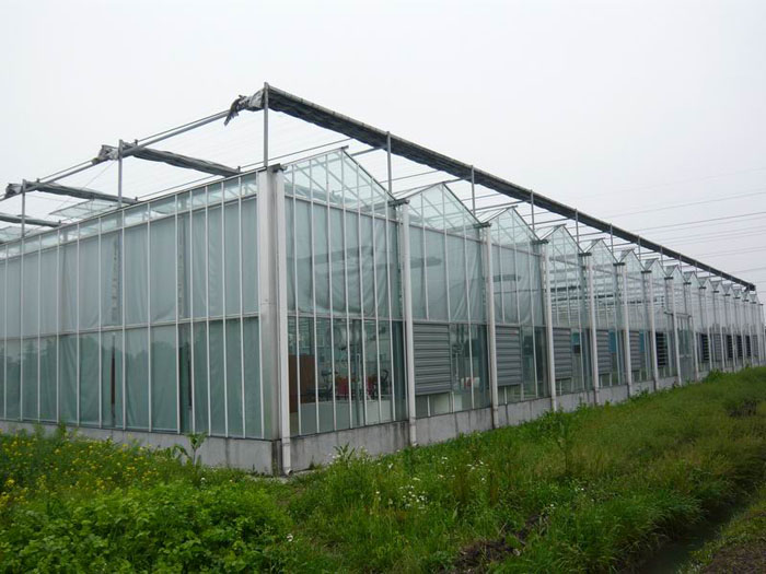 玻璃温室工程案例